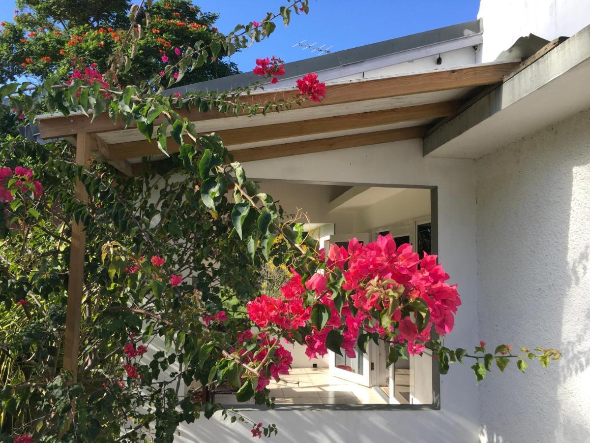 Ancella'S Garden Apartment-Beach-5Min Drive, 1 Hr Montego Bay, 25 Mins Ocho Rios, Continental Breakfast Runaway Bay Exterior foto
